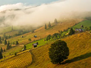National Geographic: Pasionații de drumeții, să uite Alpii Elvețieni pentru acești munți din România - Foto: Via Transilvanica